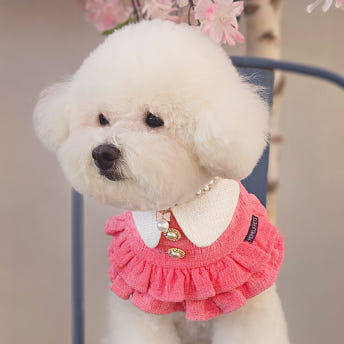 [NEW신상][무료배송] 리치독스 트위드 진주 스커트 케이프 레드 6번째