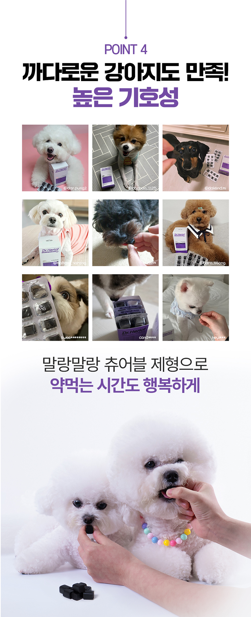 [무료배송] 닥터헤리엇 알러지케어 17번째