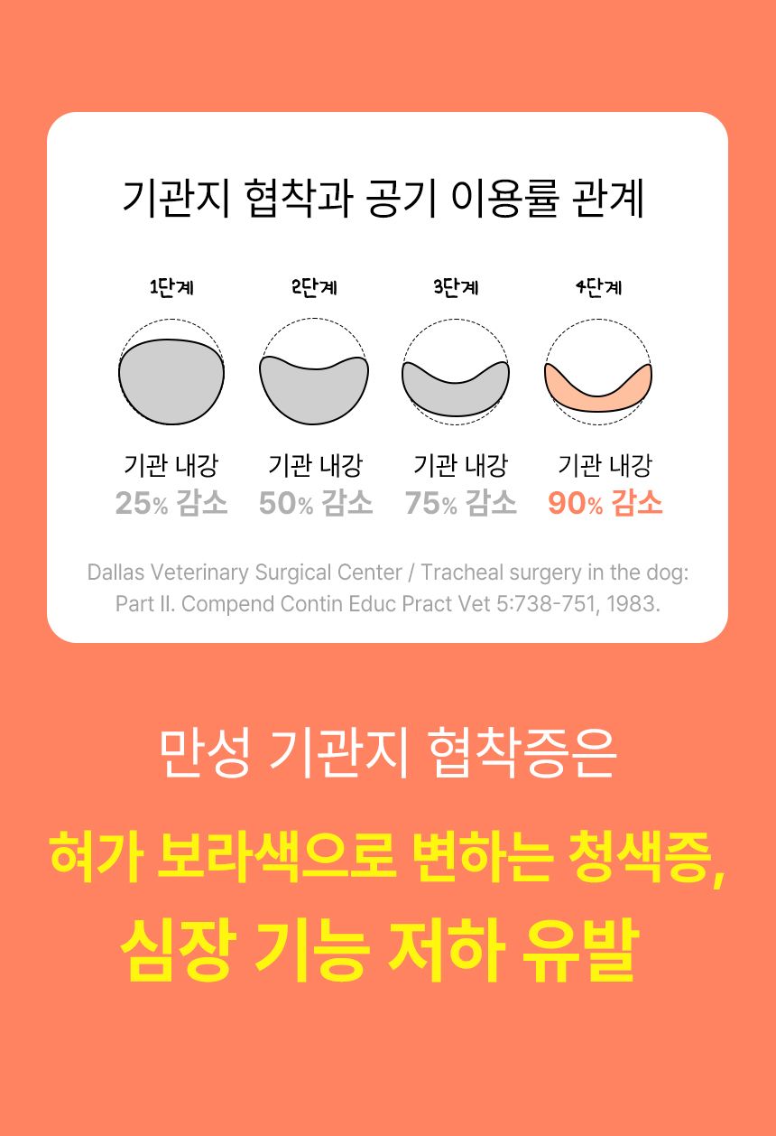 [심쿵펫페어]펫생각 독 미니 데일리케얼 슈퍼리얼 브레스 66g 9번째