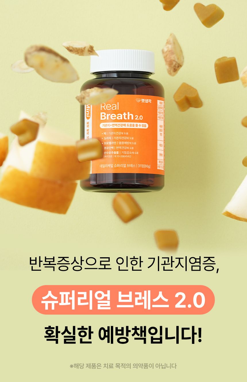 펫생각 독 미니 데일리케얼 슈퍼리얼 브레스 66g 9번째