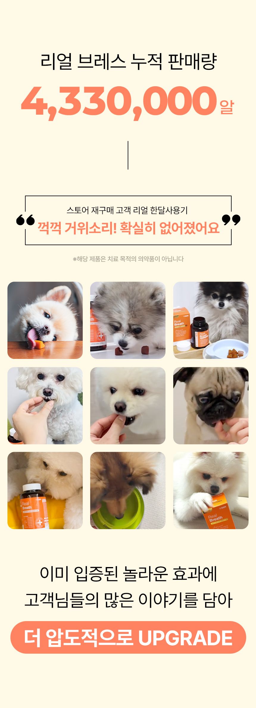 펫생각 독 미니 데일리케얼 슈퍼리얼 브레스 66g 3번째
