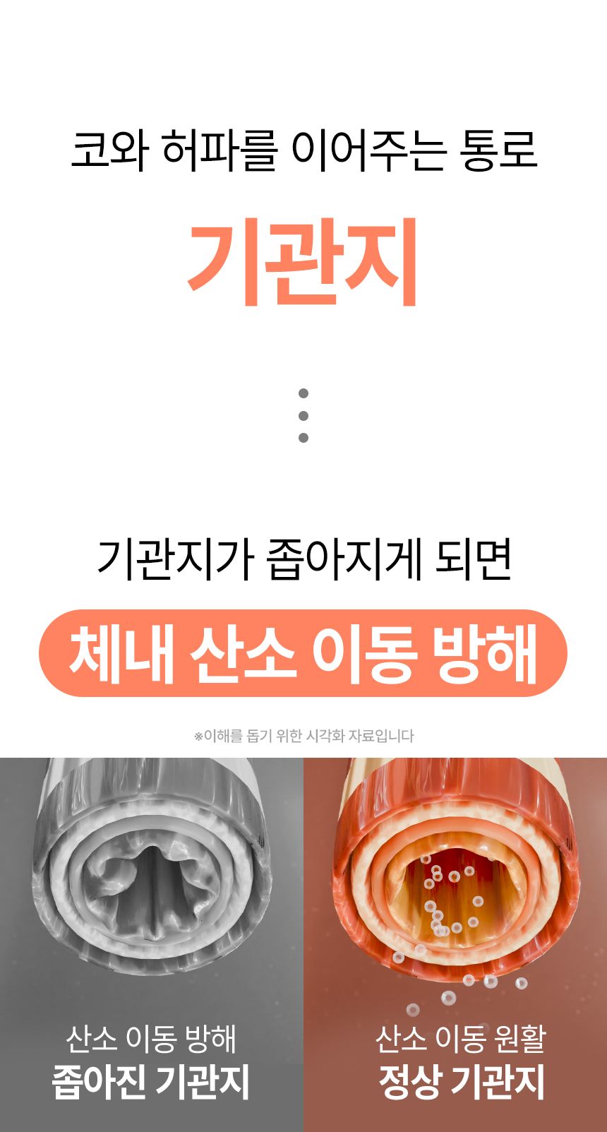 펫생각 독 미니 데일리케얼 슈퍼리얼 브레스 66g 7번째