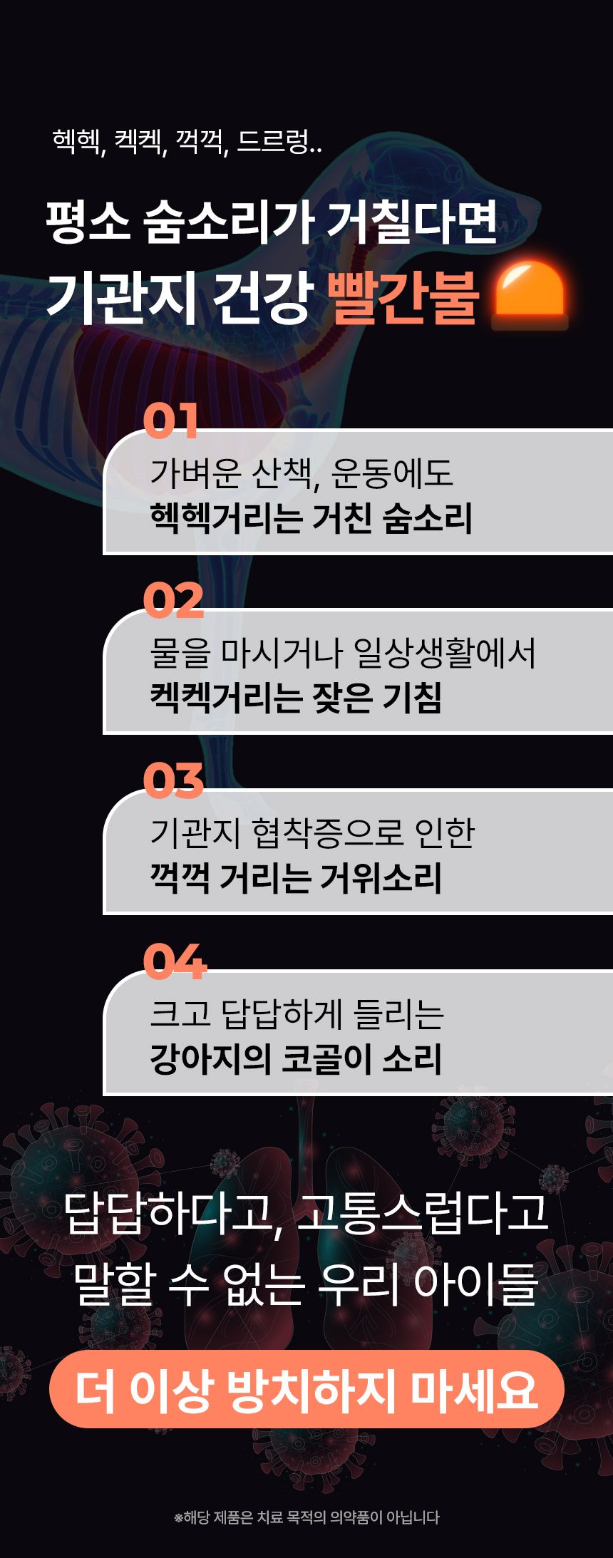 펫생각 독 미니 데일리케얼 슈퍼리얼 브레스 66g 6번째