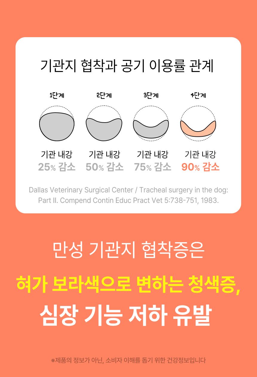 펫생각 독 미니 데일리케얼 슈퍼리얼 브레스 66g 8번째