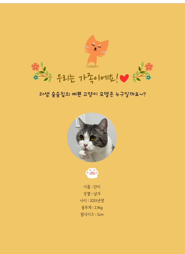[무료배송] 모넬로 냥탁 대형 고양이 숨숨집 캣타워 스크래쳐 세트 GO22311 27번째