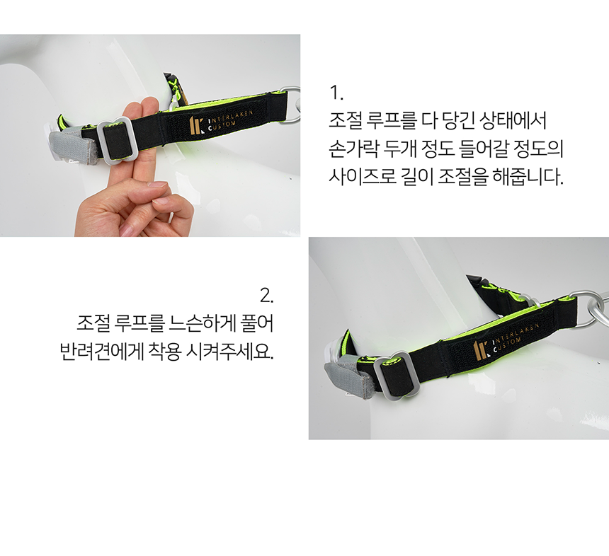 [무료배송] 니즈더펫 인터라켄 슬림2.0 마틴 목줄 15번째