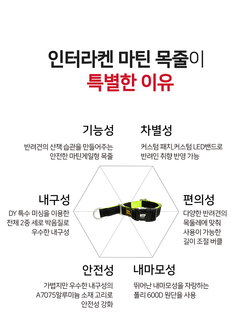 [무료배송] 니즈더펫 인터라켄 슬림2.0 마틴 목줄 2번째