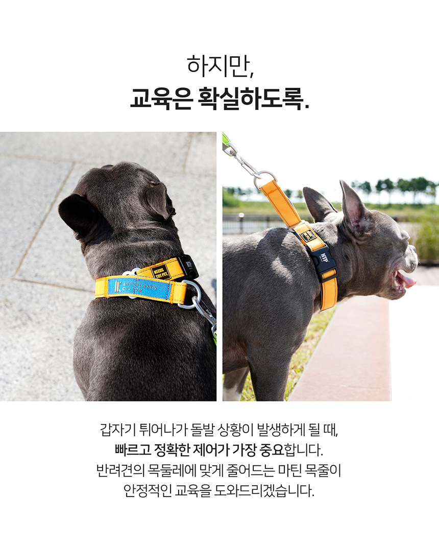 [무료배송] 니즈더펫 인터라켄 슬림2.0 마틴 목줄 13번째