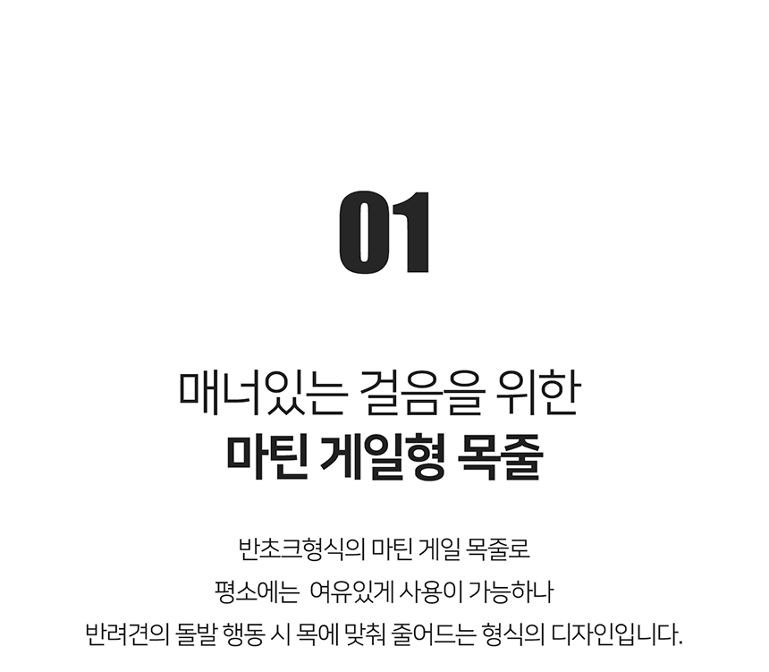 [무료배송] 니즈더펫 인터라켄 슬림2.0 마틴 목줄 9번째