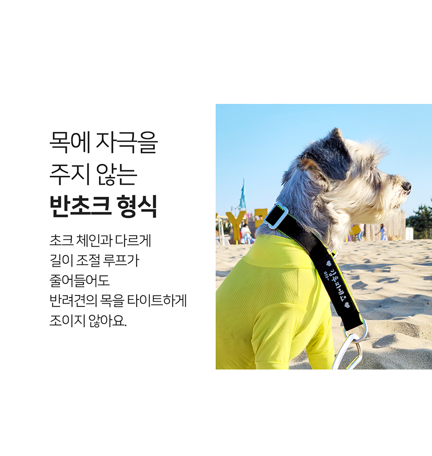 [무료배송] 니즈더펫 인터라켄 슬림2.0 마틴 목줄 12번째