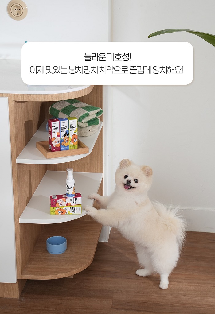 [NEW신상][무료배송] 정글몬스터 냥치멍치 70g (고구마/멜론/블루베리) 8번째