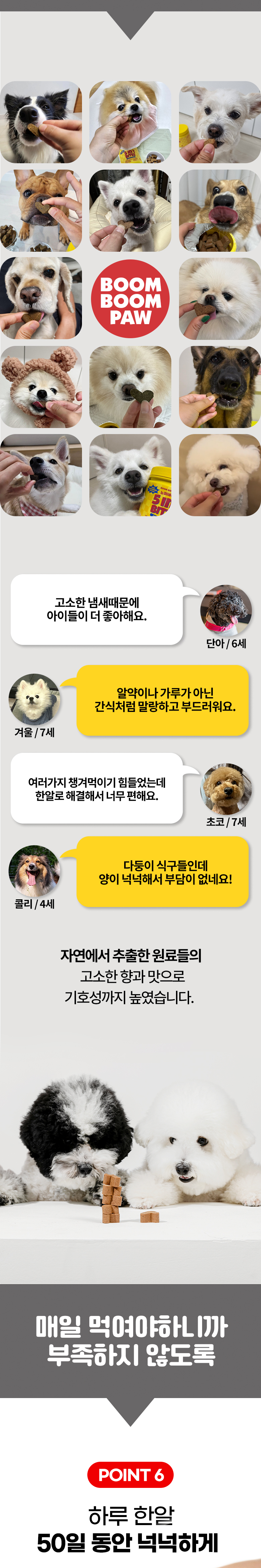 [무료배송] 붐붐포 독 슈퍼바이트 아스코필름노도섬 구강 덴탈 영양제 300g 8번째
