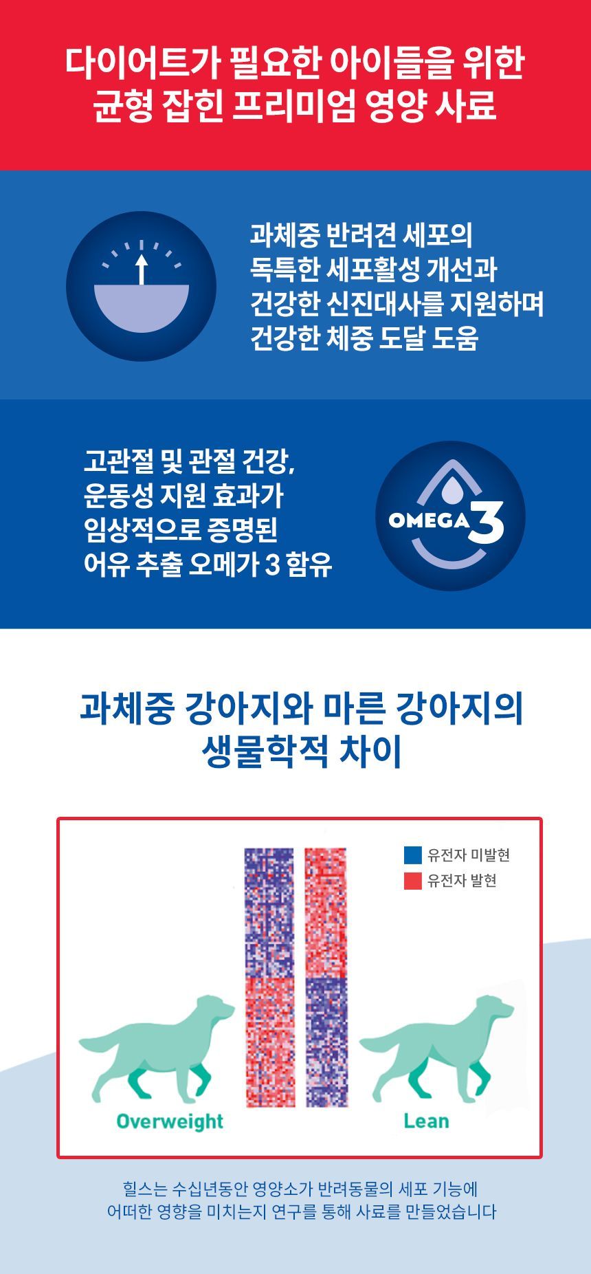 힐스 독 어덜트 퍼펙트 웨이트+조인트 서포트 치킨 5.4kg 2번째