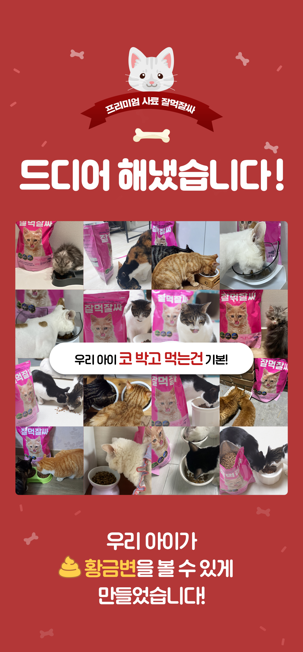 잘먹잘싸 캣 황금변&피부&모질 사료 2kg 1번째