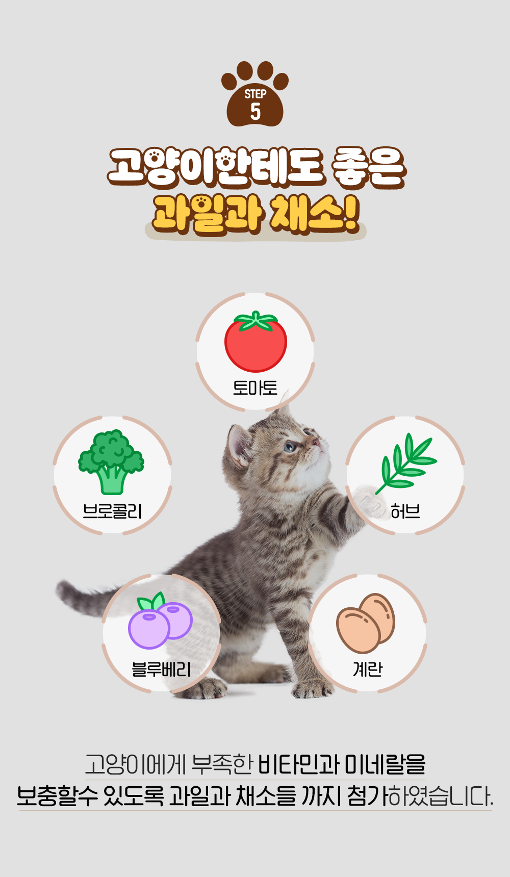 잘먹잘싸 캣 황금변&피부&모질 사료 2kg 7번째