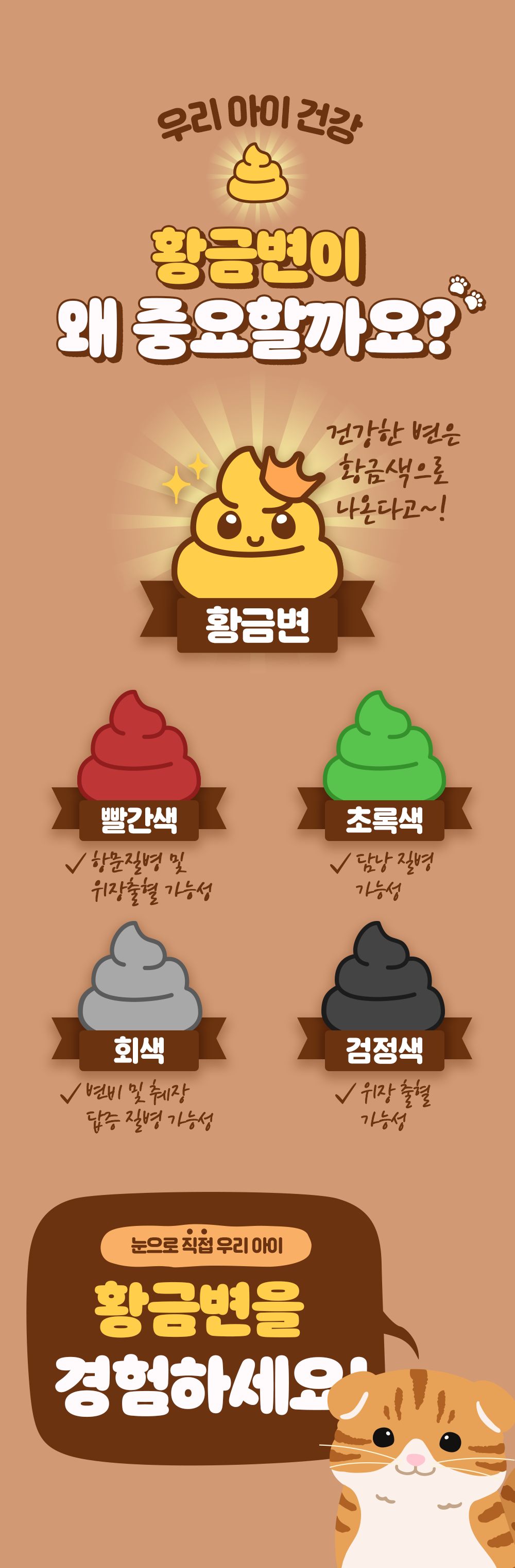 잘먹잘싸 캣 황금변&피부&모질 사료 2kg 2번째