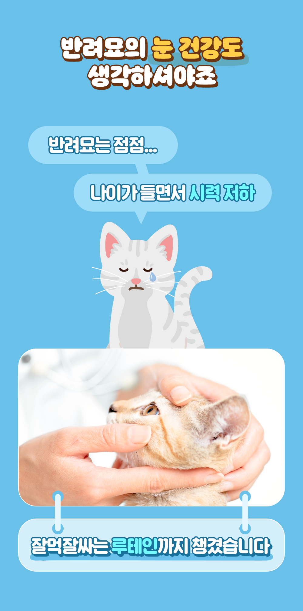 잘먹잘싸 캣 황금변&피부&모질 사료 2kg 11번째