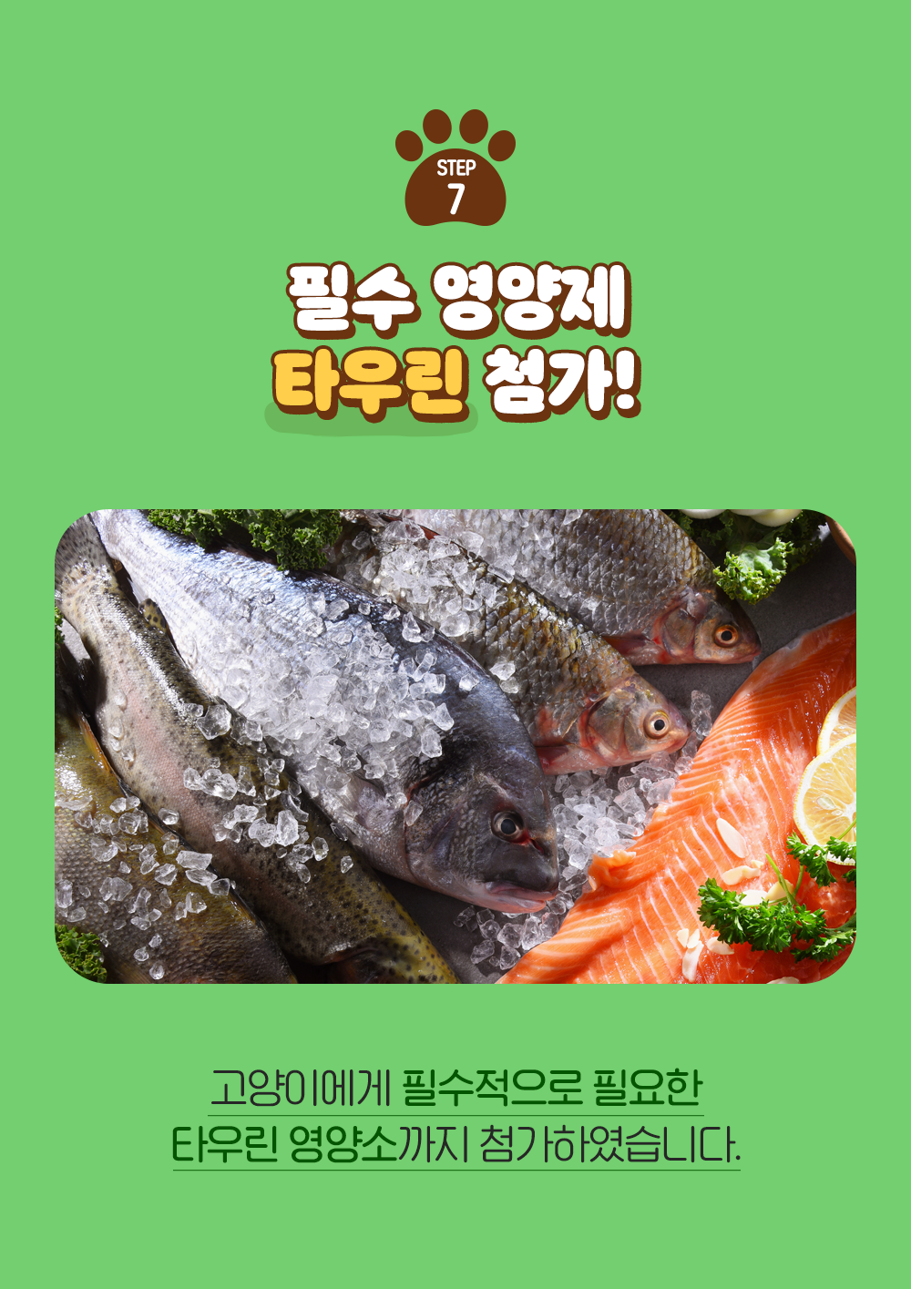 잘먹잘싸 캣 황금변&피부&모질 사료 2kg 9번째