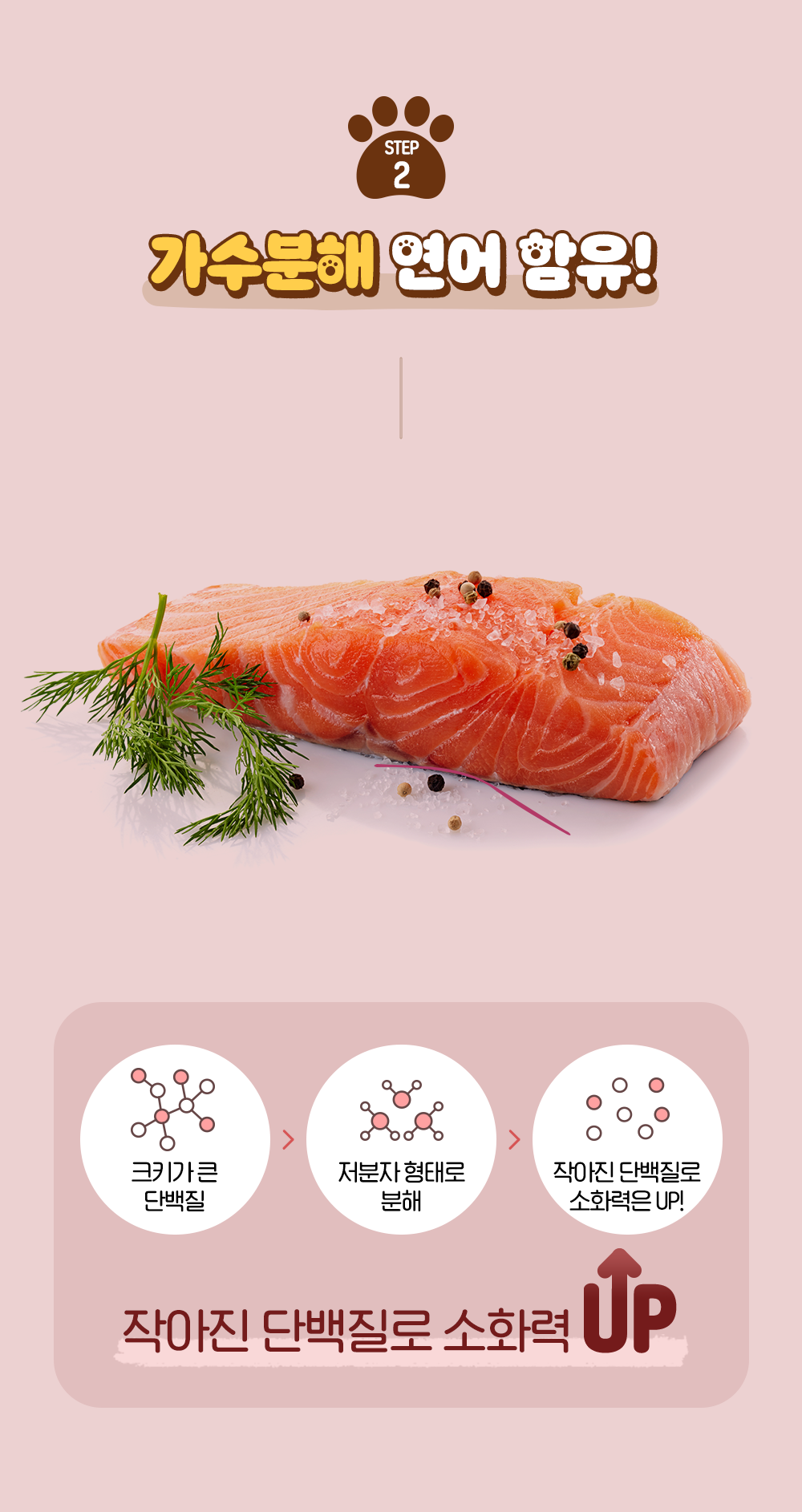 잘먹잘싸 캣 황금변&피부&모질 사료 2kg 4번째
