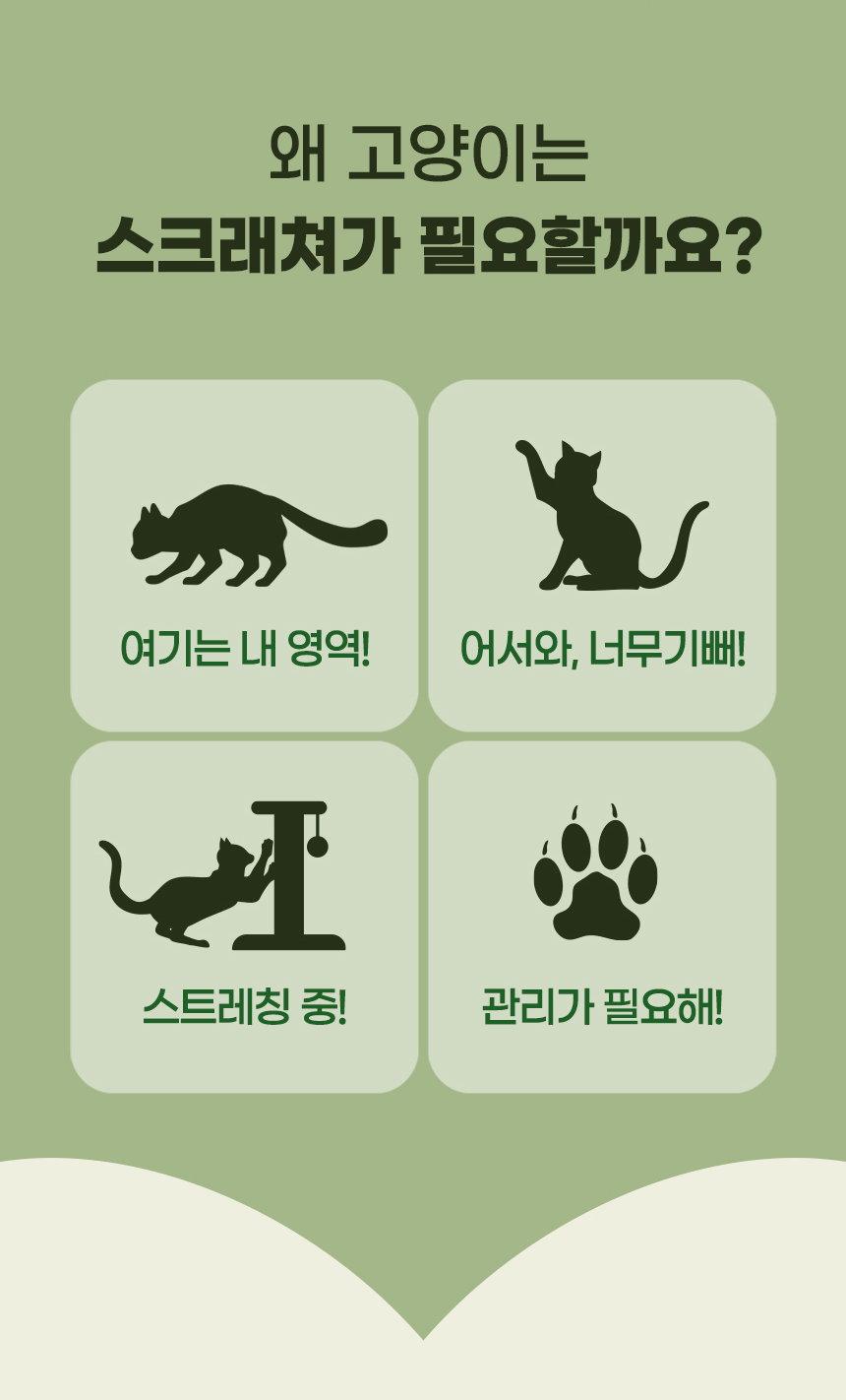 [무료배송] 펫토리아 GP 카펫 행거 선인장 고양이 스크래쳐, 캣닢 3번째
