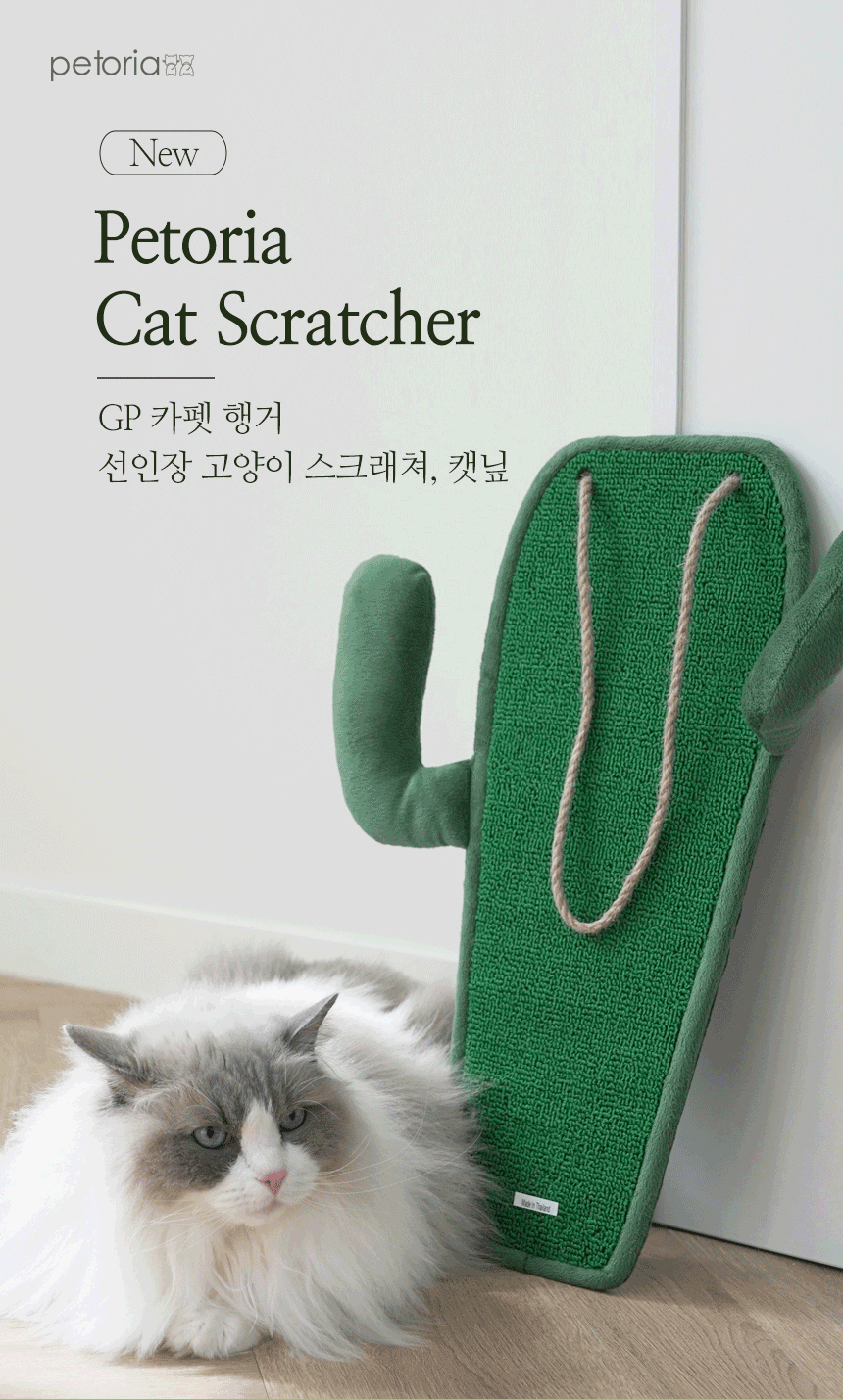 [무료배송] 펫토리아 GP 카펫 행거 선인장 고양이 스크래쳐, 캣닢 2번째