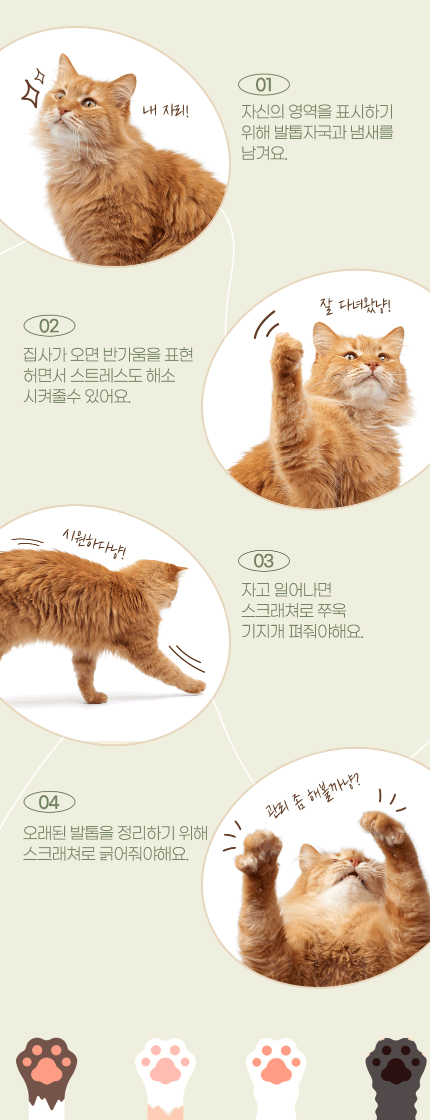 [무료배송] 펫토리아 GP 카펫 행거 선인장 고양이 스크래쳐, 캣닢 4번째