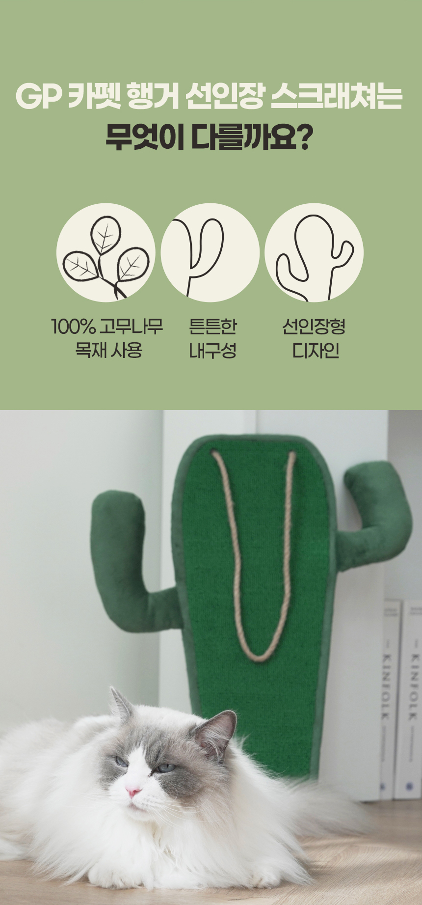 [무료배송] 펫토리아 GP 카펫 행거 선인장 고양이 스크래쳐, 캣닢 5번째