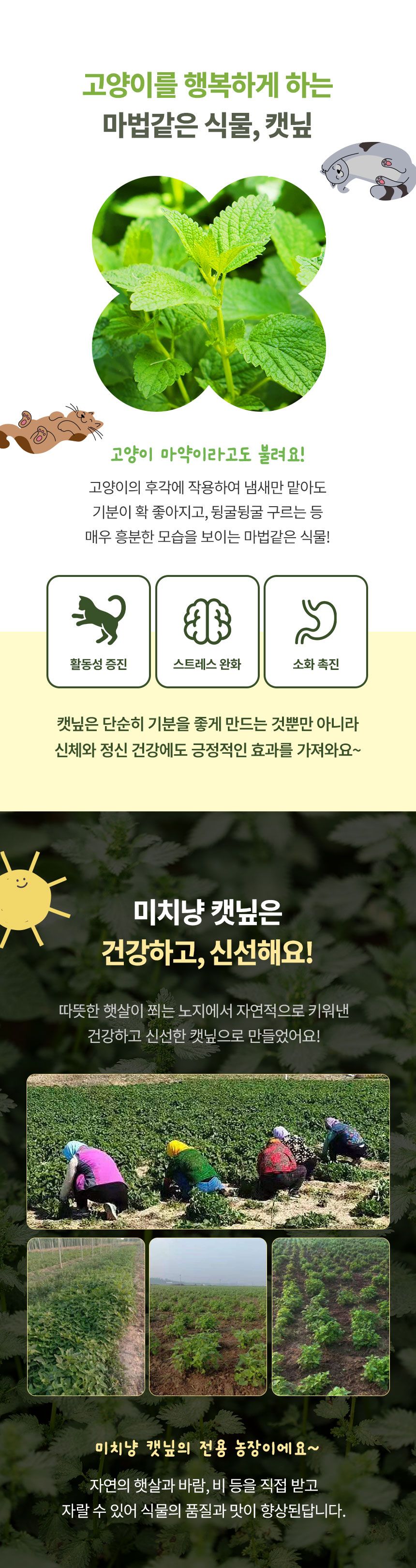 크레용펫 캣 미치냥 대왕 캣닢볼 S-XL 6번째