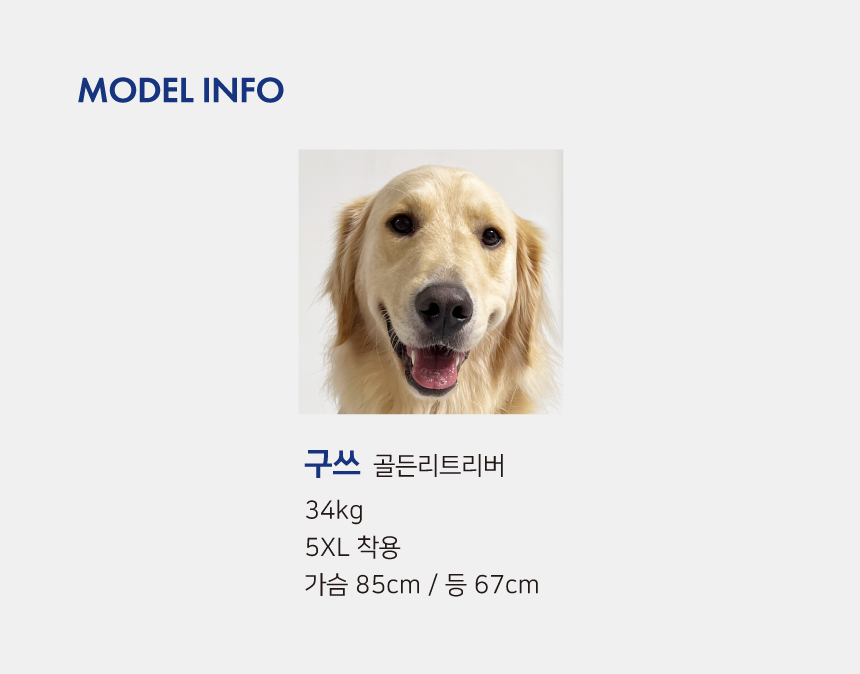 [무료배송] 바크독 메리 하이넥 티셔츠 코코아/머스타드/그레이/딥그린 M-6XL 9번째