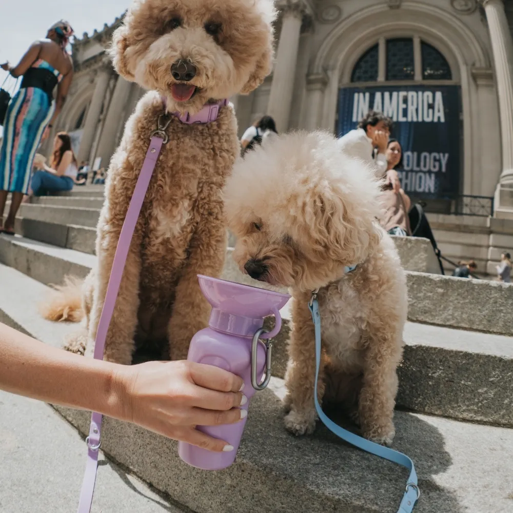 [무료배송] 스프링어 클래식 트래블 보틀 650ml