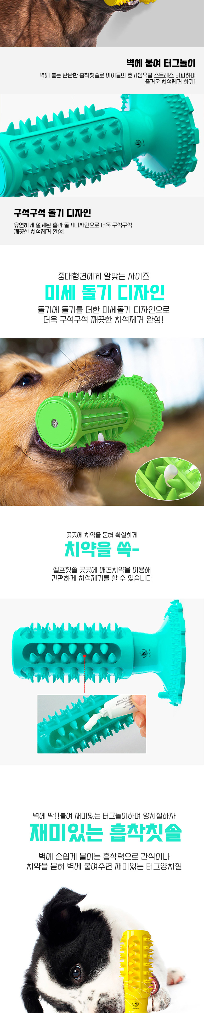 [무료배송] 딩동펫 강아지 위니 셀프 흡착 칫솔 그린/민트/옐로우 3번째