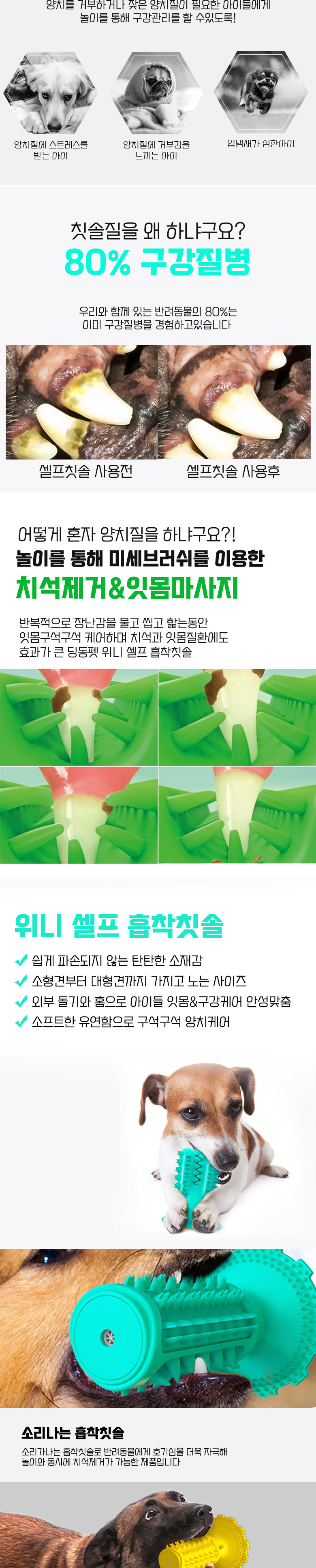 [무료배송] 딩동펫 강아지 위니 셀프 흡착 칫솔 그린/민트/옐로우 2번째