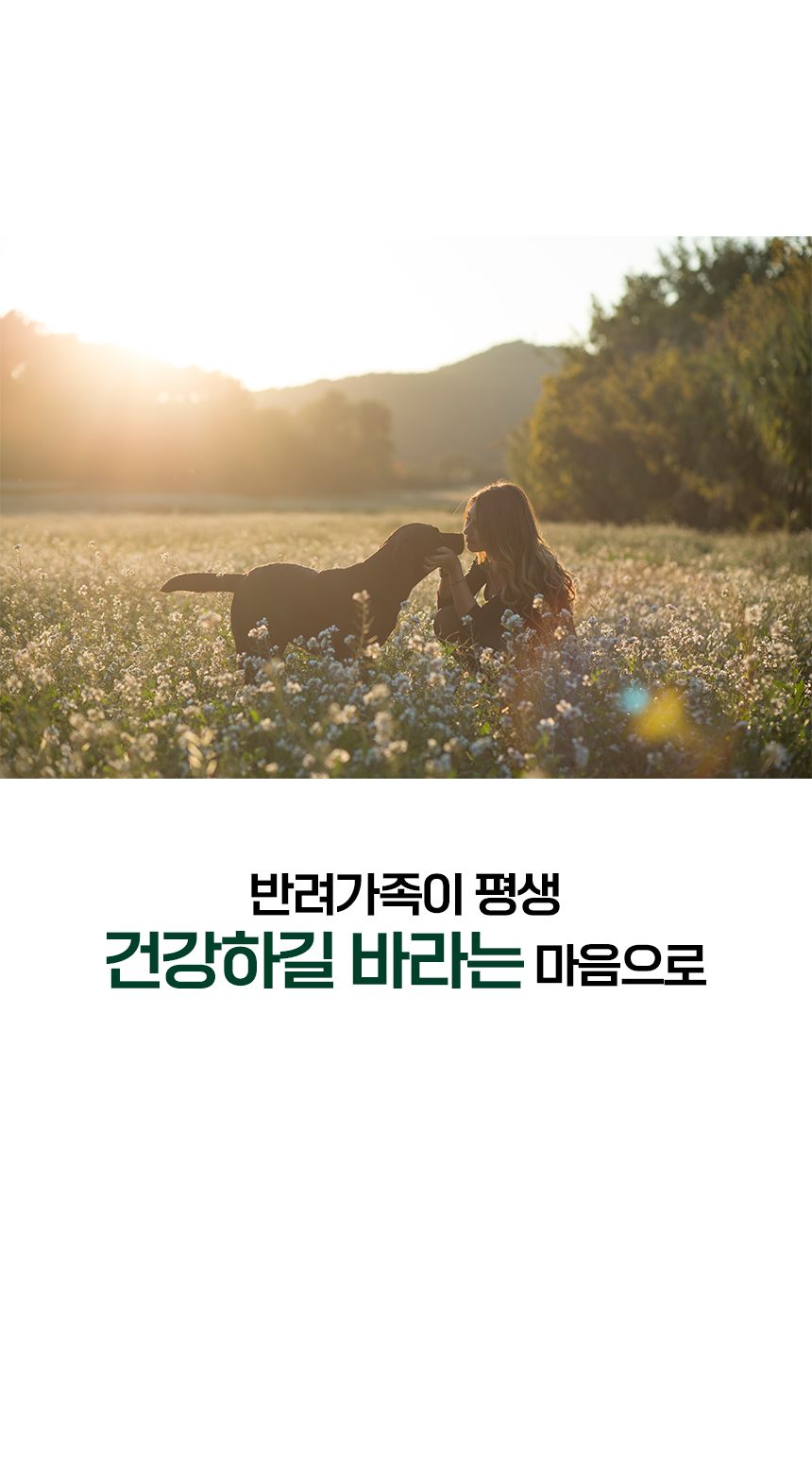 [NEW신상]와즈펫 강아지 프리미엄 화식사료 오리 100g 10번째