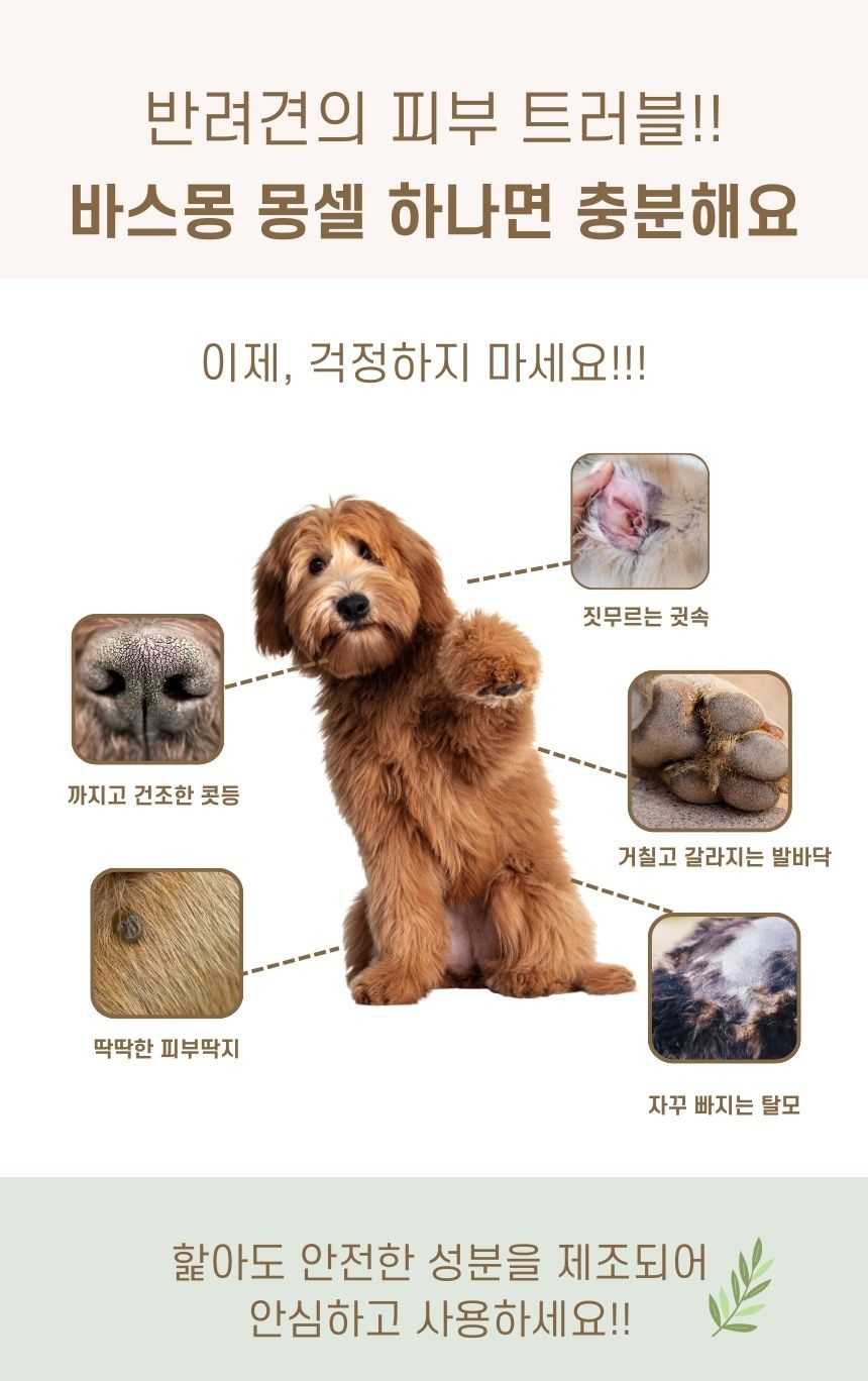 [무료배송] 바스몽 고농축 줄기세포 세럼 30ml 18번째