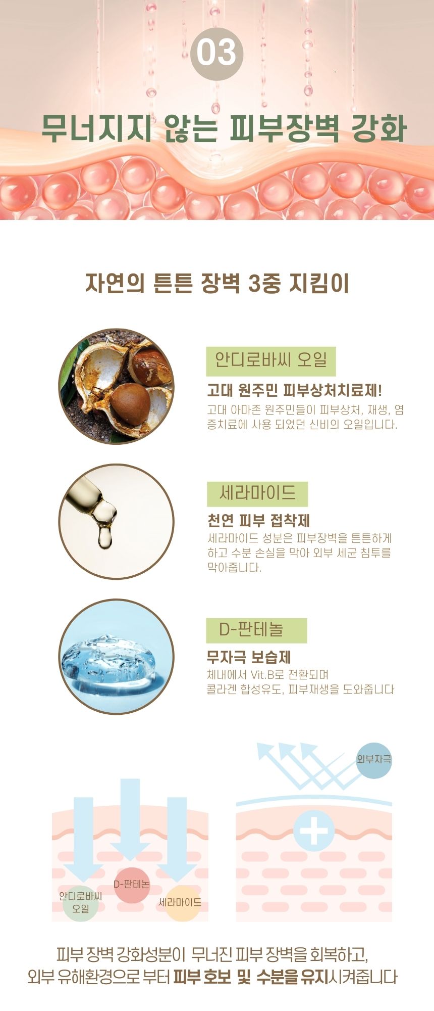 [무료배송] 바스몽 고농축 줄기세포 세럼 30ml 13번째