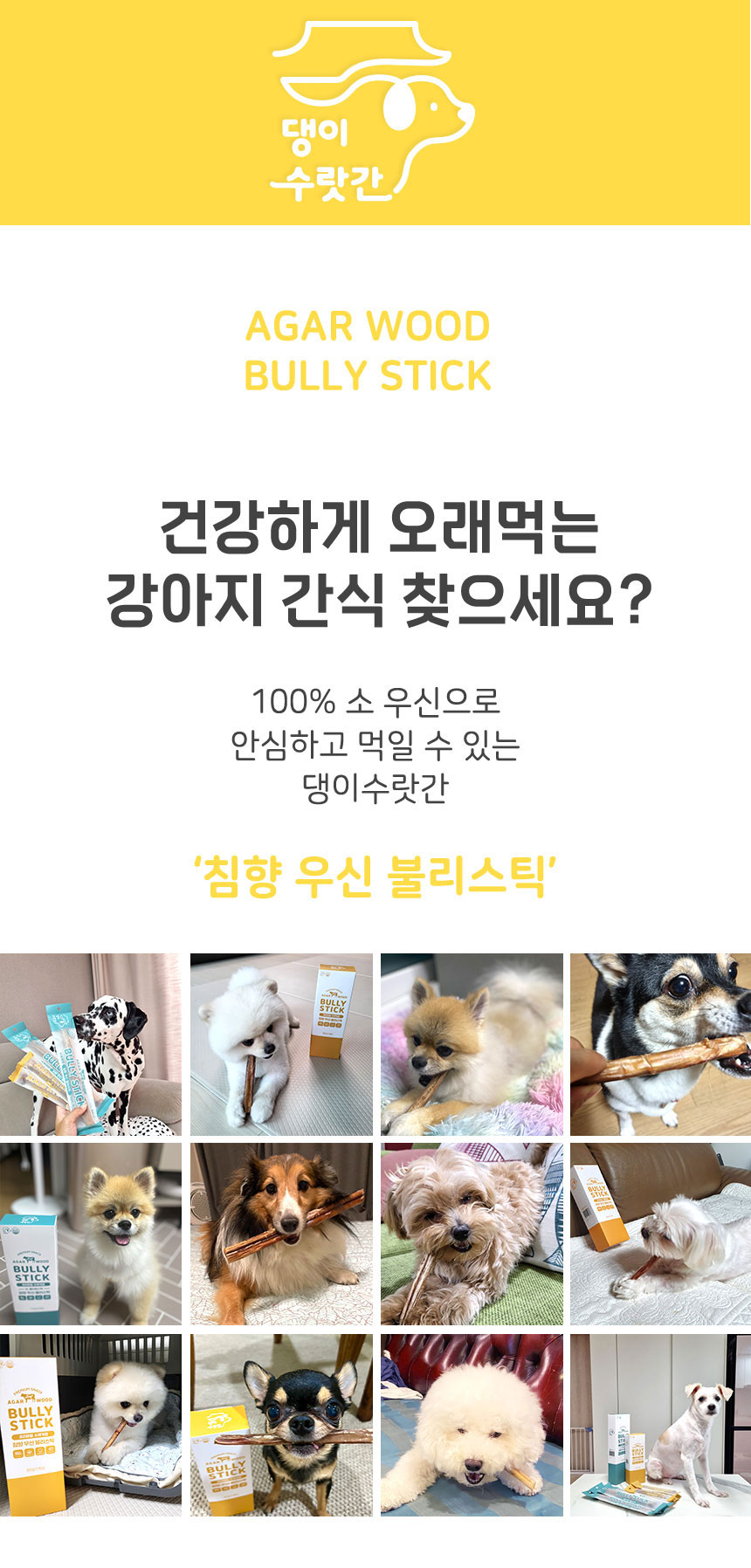 [무료배송] 댕이수랏간 침향 소우신 불리스틱 XL 3개입 1번째
