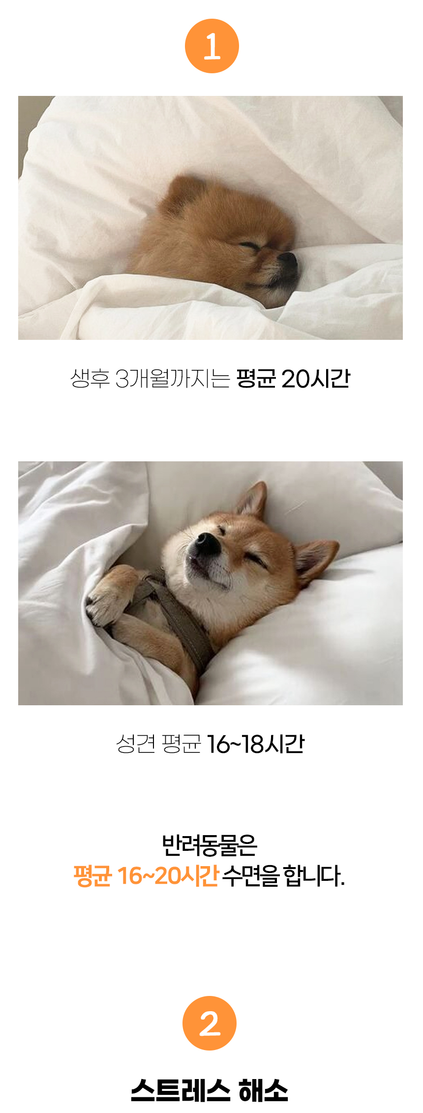 [NEW신상][무료배송] 개과천선 DU 방석 (밀크 아이보리/다크 그레이) 5번째