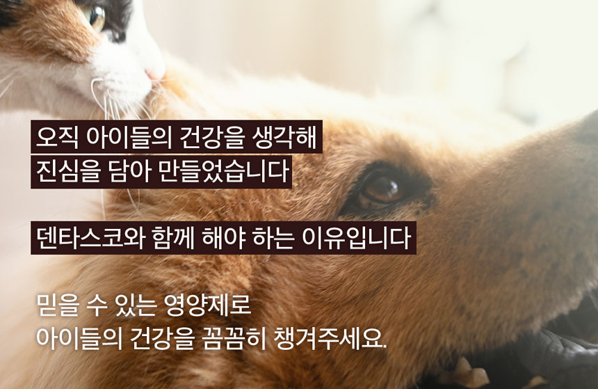 [무료배송] 앤드럭스 독 덴타스코 구강&장 2g*30포 6번째