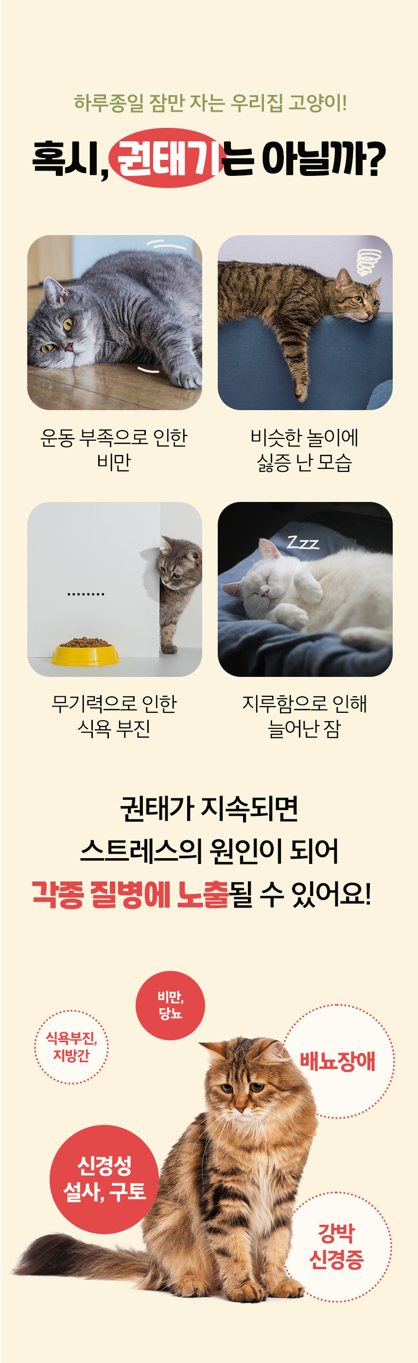 [무료배송] 뽀시래기 뽕티 캣닢 스프레이 30ml 4번째