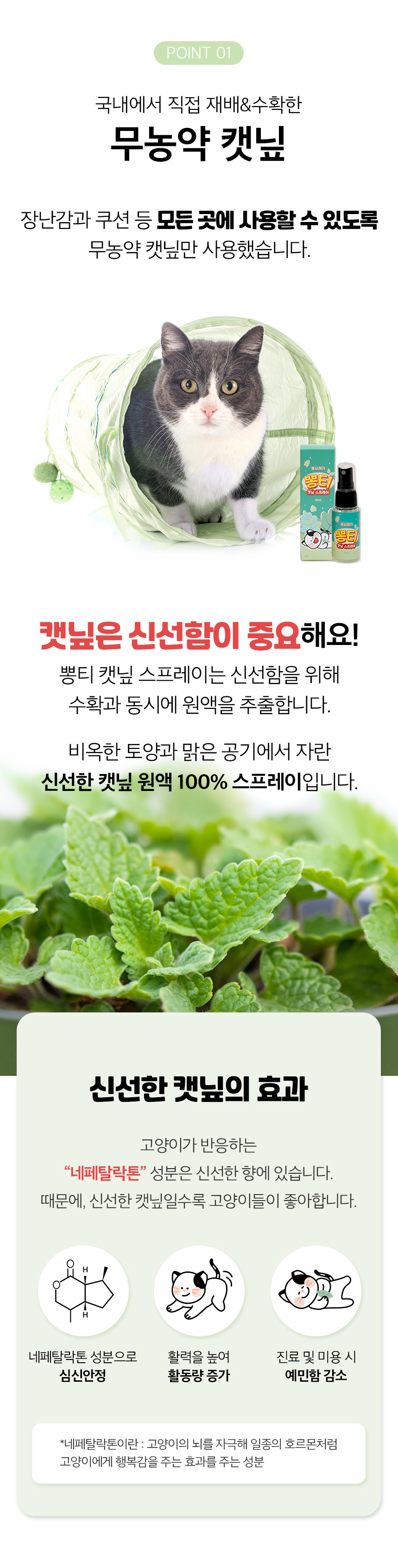 [무료배송] 뽀시래기 뽕티 캣닢 스프레이 30ml 7번째