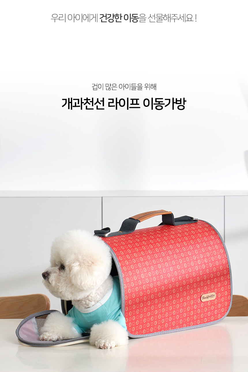 [NEW신상][무료배송] 개과천선 라이프 이동가방 3번째