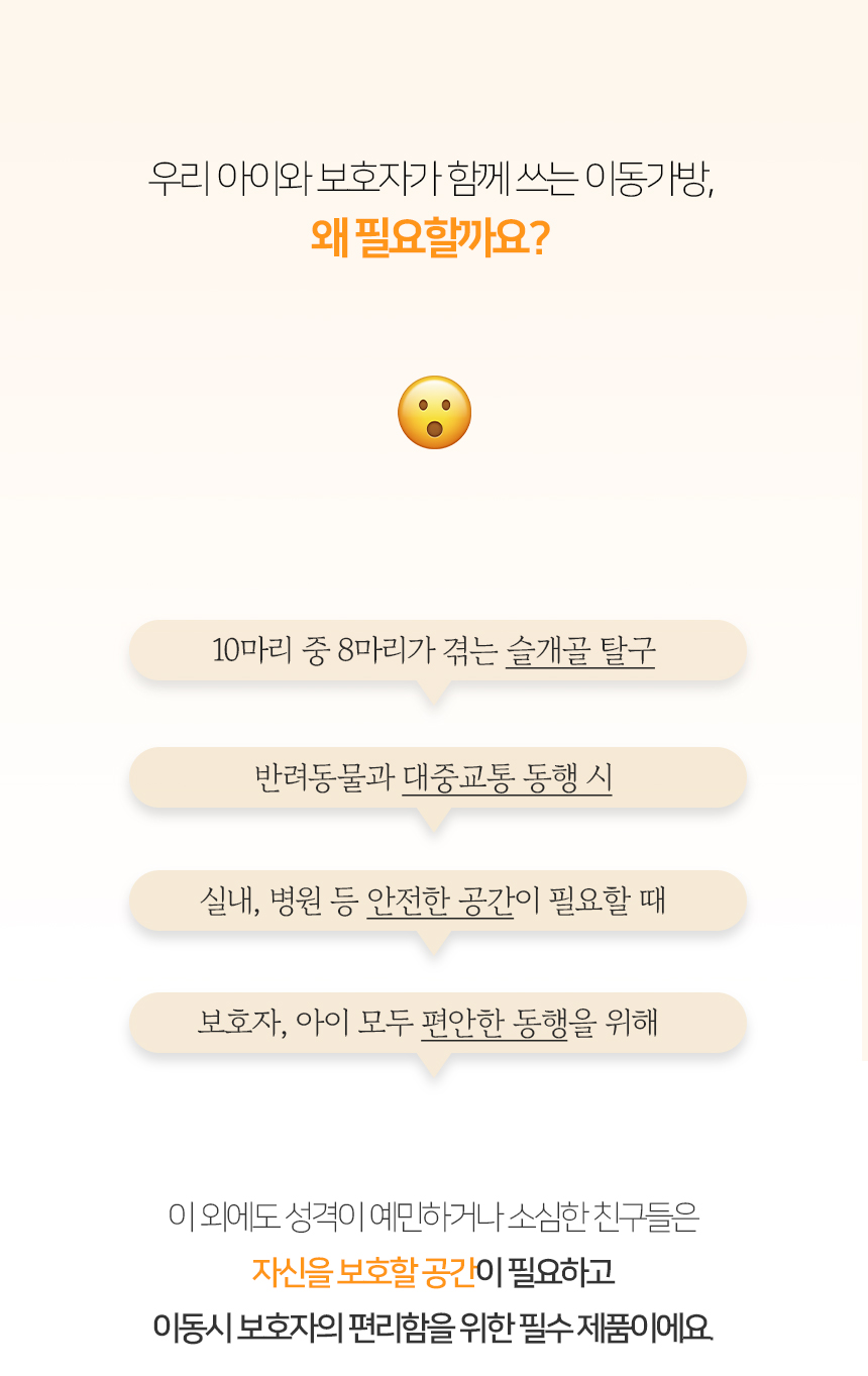 [NEW신상][무료배송] 개과천선 라이프 이동가방 2번째