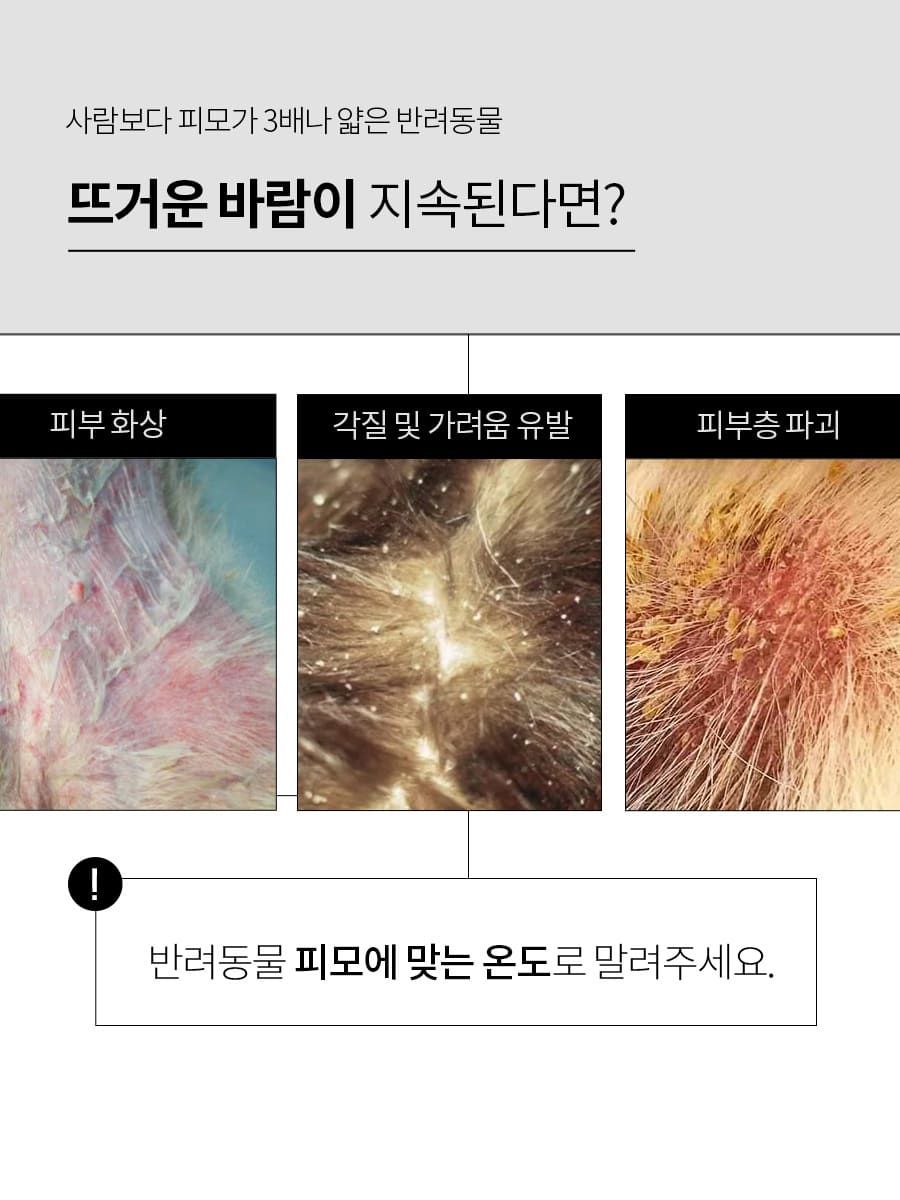 [무료배송] 베픈 퀵 드라잉 올인원 세트 + 에센스 추가증정 17번째