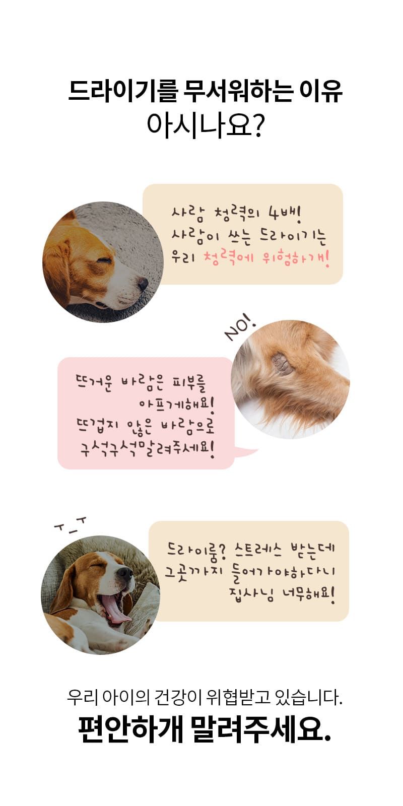 [무료배송] 베픈 퀵 드라잉 올인원 세트 + 에센스 추가증정 9번째