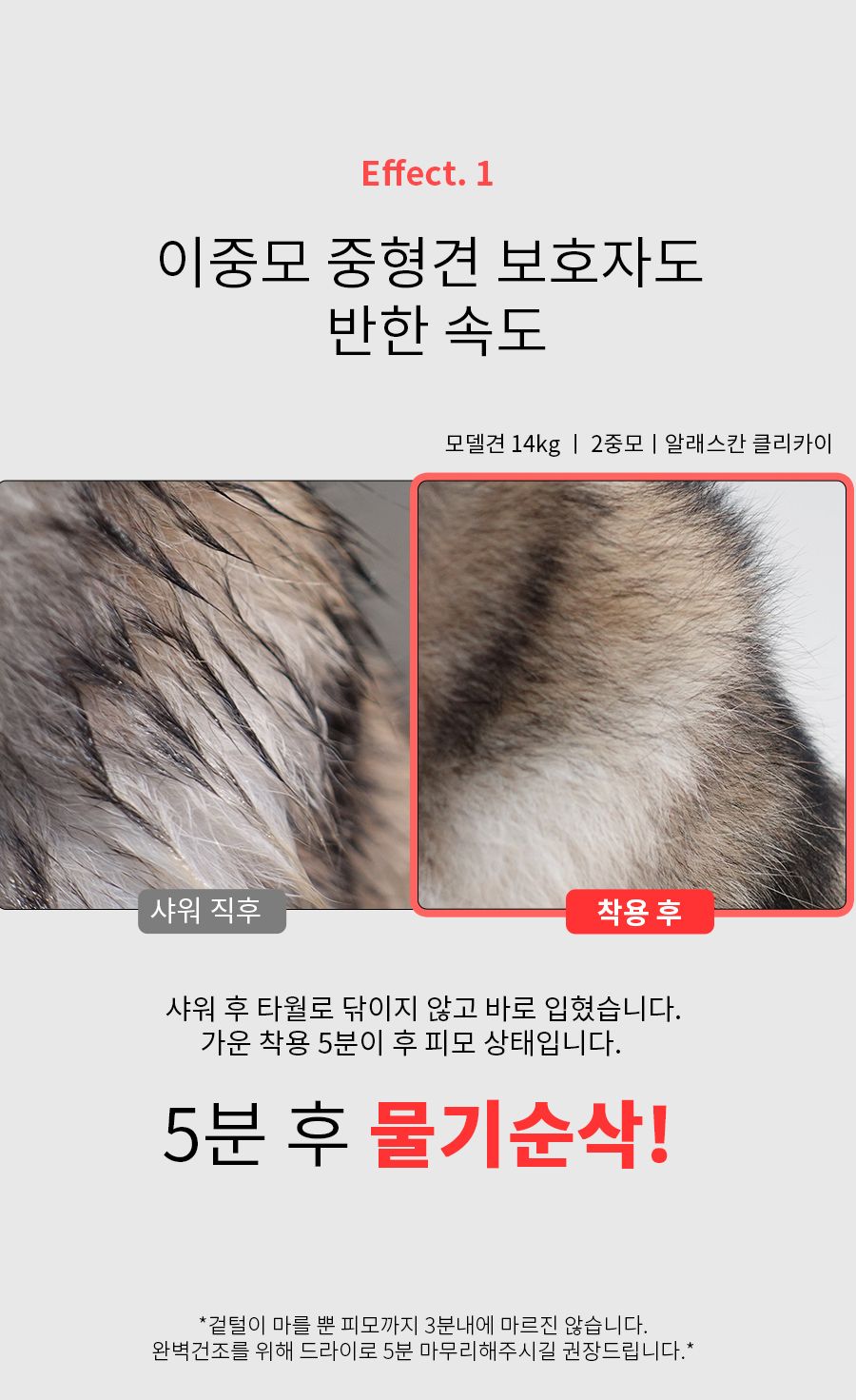[무료배송] 베픈 퀵 드라잉 올인원 세트 + 에센스 추가증정 36번째