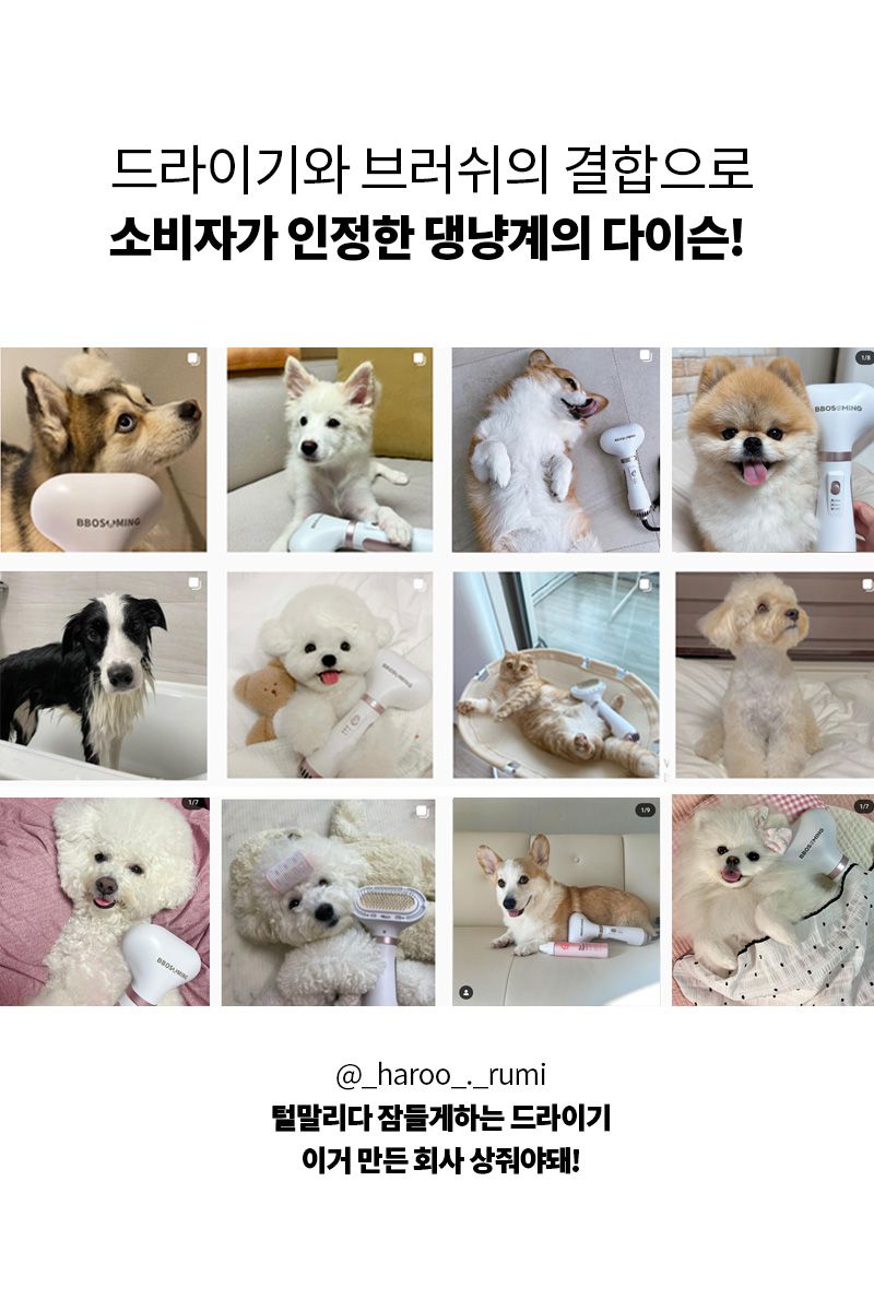 [무료배송] 베픈 퀵 드라잉 올인원 세트 + 에센스 추가증정 5번째