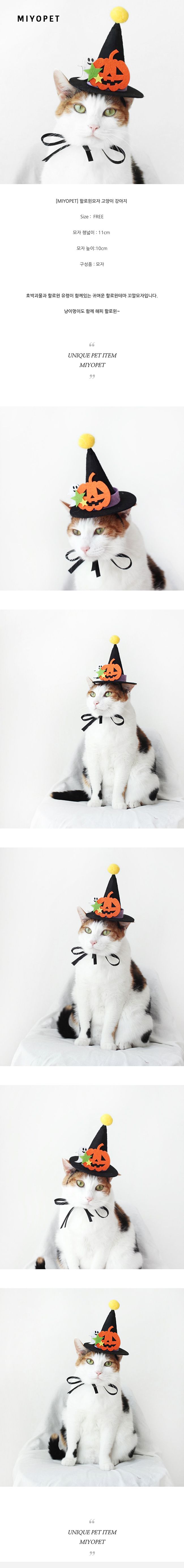 [무료배송] 미요펫 할로원 호박모자 1번째