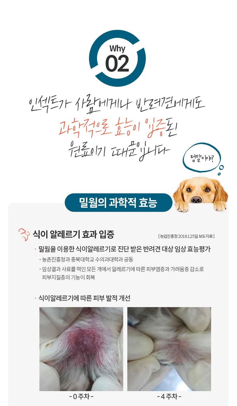 [NEW신상][무료배송] 엉클홈 인섹트플러스 강아지 피부 알러지 눈물 다이어트 곤충 사료 10kg(2.5kg*4개) 9번째