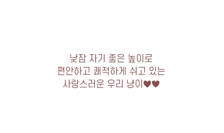 [무료배송] 모넬로 아트냥 창문 캣타워 고양이 벽부착 캣워커 해먹 300 화이트 DO23047 22번째