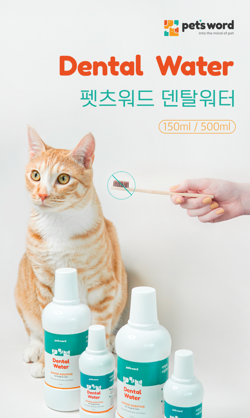 [무료배송] 견우직냥x펫츠워드 덴탈워터 500ml 1번째